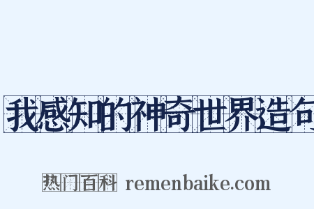 我感知的神奇世界造句是什么意思的图片